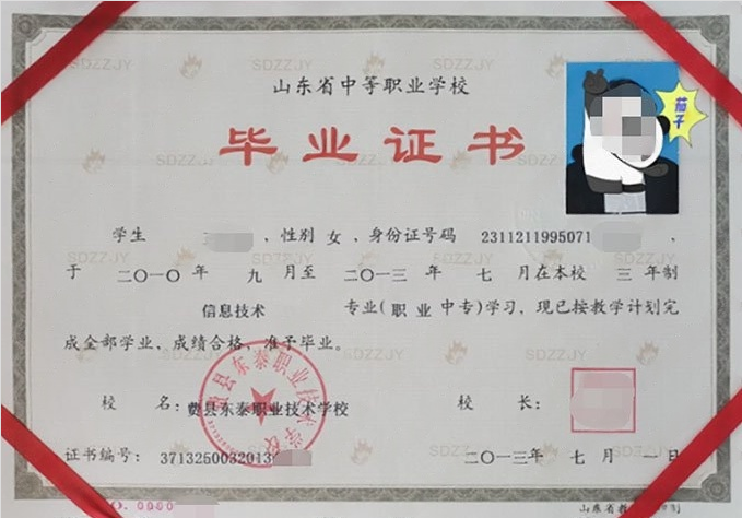 费县东泰职业技术学校2013年中专（中职）毕业证书样本图片